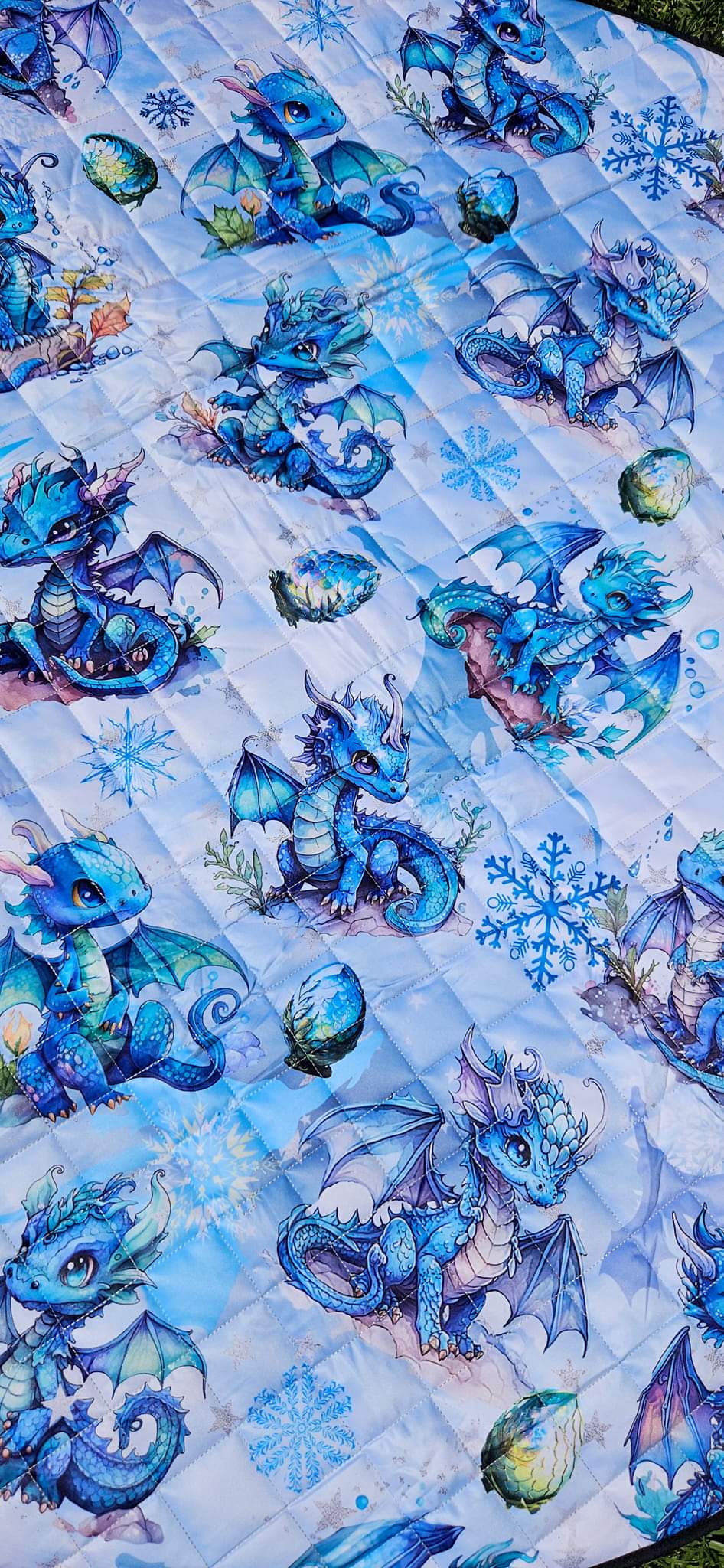 Frost Bite Picnic Plush Mat