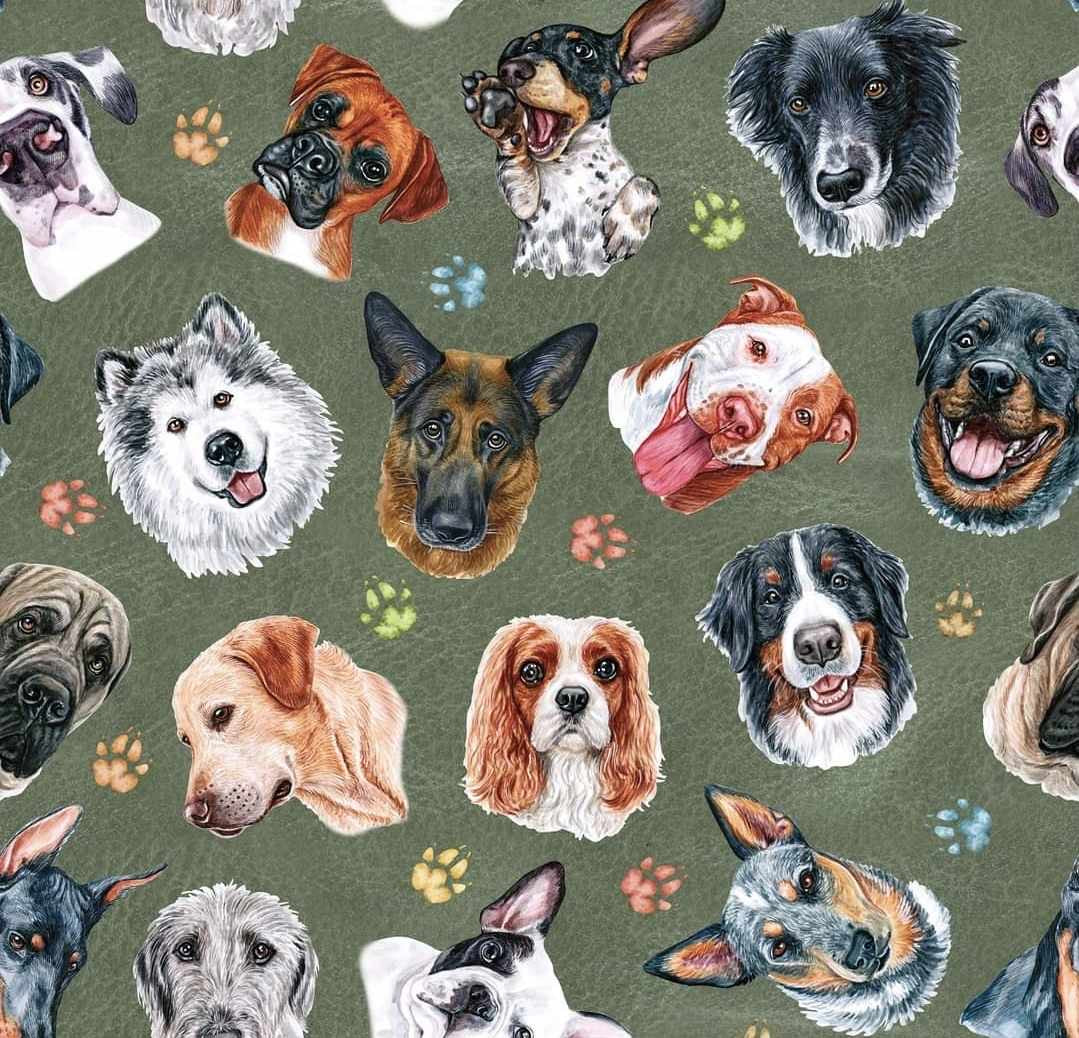 So Pawfect Overnight Cloth Pad